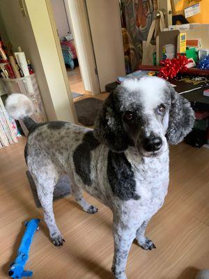 Brigitte showing off new hair cut. Thanks Corinna!