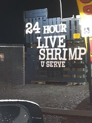 Captain Frazier's 24 hour Live Shrimp U Serve