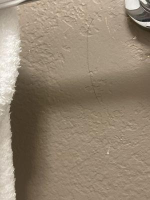 Hair stuck on the paint? or just the wall?