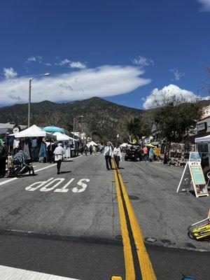 Vendors at wisteria festival