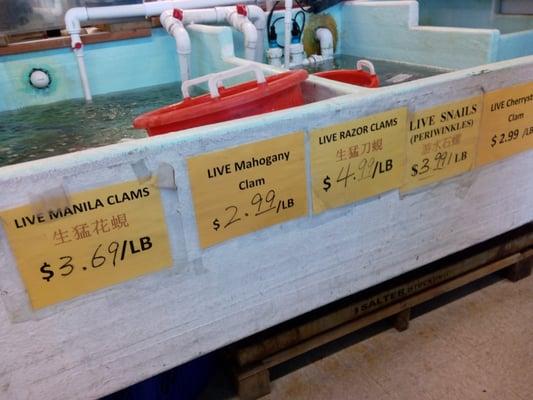 Yeah, there's some fresh seafood... And some dead ones too. Not an amazing selection, but the prices aren't painful to look at.