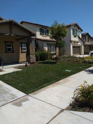 SOD installation