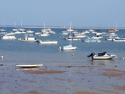 View of harbor from food court seating - obviously low tide.