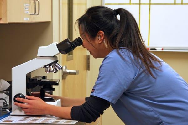 Looking at a laboratory sample.