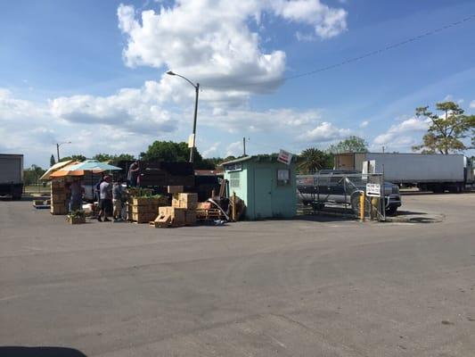 Immokalee Produce Center