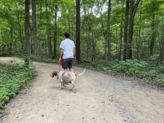 Dog friendly trails