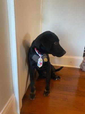 Handsome post groom with his little tie