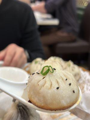 Pan fried pork bun