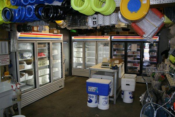 Bait Room, New Walk-in Freezer