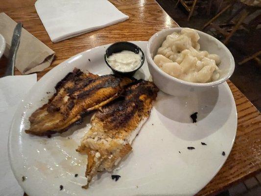 Grilled Catfish & Dumplings