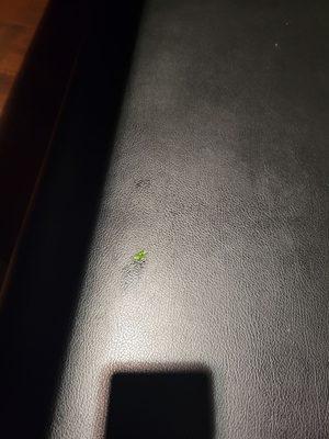 Yep thats old lettuce on the booth we were just seated at.