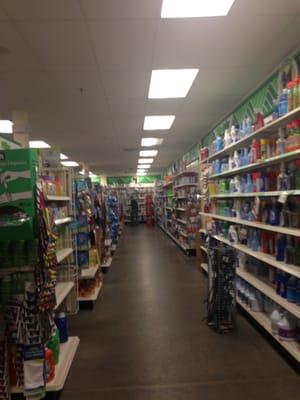 North Easton Dollar Tree -- RK Center: 20 Roche Bros Way, N Easton               Interior