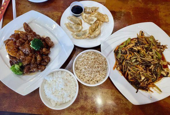 Fried dumplings, garlic chicken, orange chicken