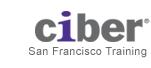 Ciber Inc