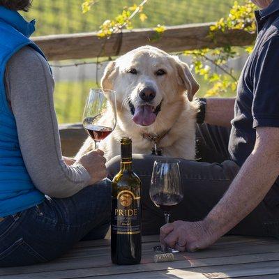 Pride Mountain Vineyards Pet Friendly