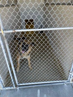 Napa County Animal Shelter and Adoption Center