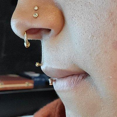 Solid gold double paired nostrils, septum, medusa, and ashley piercings (Fully Healed)