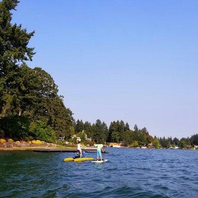 Paddle boards