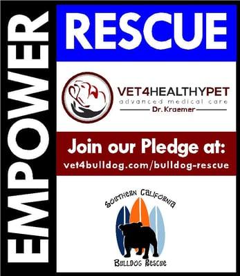 empowering rescue join our pledge at vet4bulldog.com