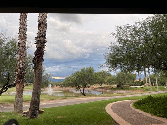 Patio view