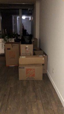 Boss movers neatly and carefully placed the boxes in my new apartment