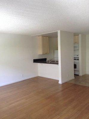 Livingroom and Kitchen