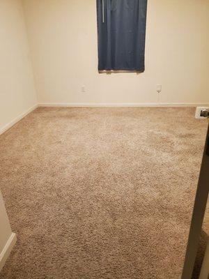 Before pic of my bonus room with carpet.