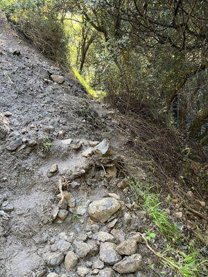 Muddy, slippery trail after March 2023 rains