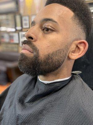 Adult Specialty Cut, Beard Line & Shape