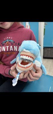 Surf's Up Pediatric Dentistry