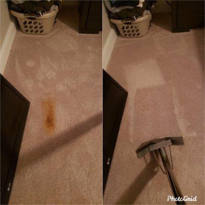 Pet odor treatment carpet cleaning