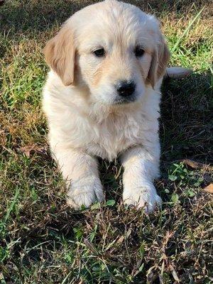 Jonesboro Family Pet Hospital