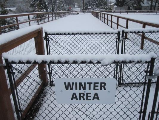 Thatcher Dog Park during an unusual "snow day" 2011.