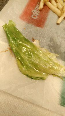 The burger was so oily that I thought it was going to try to sell me a used car. Just look how slick this lettuce is.