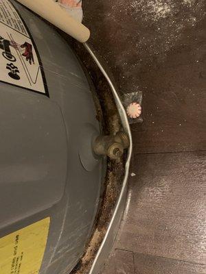 Leak filled into pan of water heater directly below