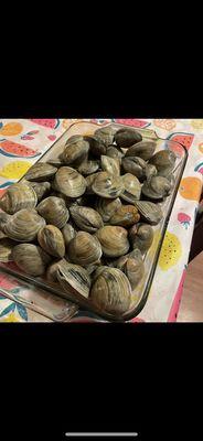 Middle Neck Clams