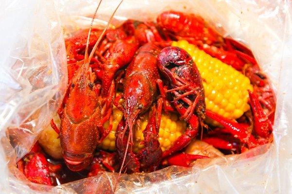 Live crawfish from Louisiana.