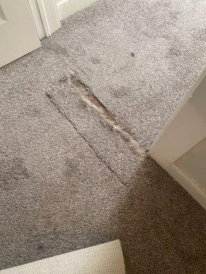 Torn carpet