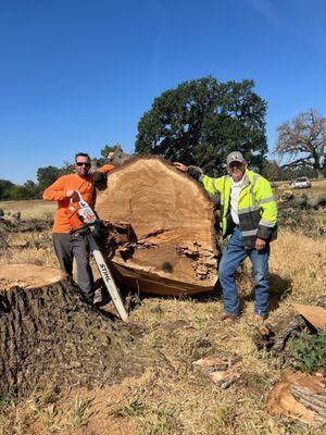 Master Tree Care