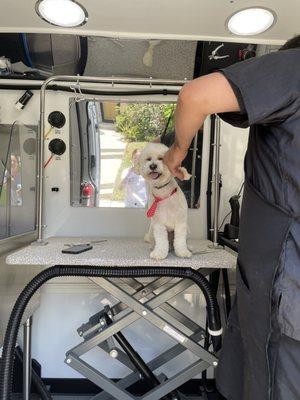 Dogs Inc. Mobile Pet Studio