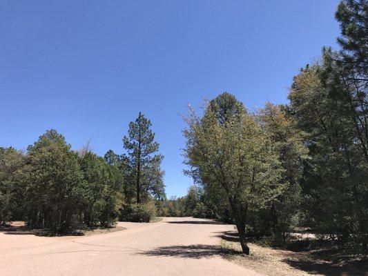 Mountain Lion Loop, heading towards host site.