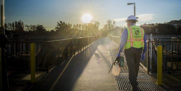 Our team provides small and large scale Mosquito abatement include commercial sites, schools, and government facilities.