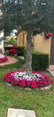 Flower bed arrangements