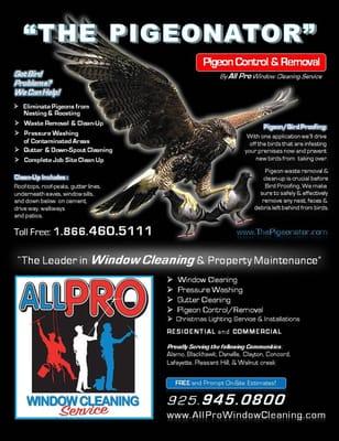 All Pro Cleaning Services