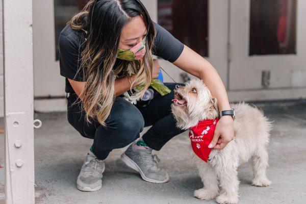 Nadia petting fur babies!