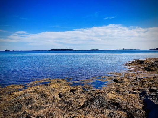 Wolfe's Neck Woods State Park