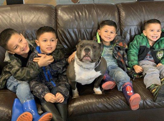 These young men loved hanging with the shop-dog, Bear