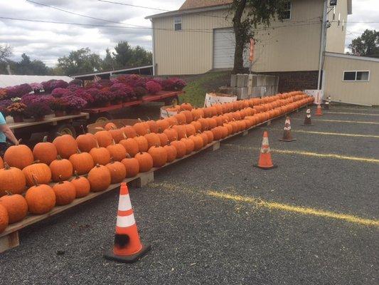 Time to carve some pumpkins!