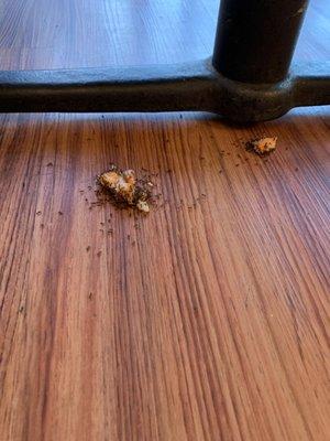 Ants surrounding food on the ground from previous customer.