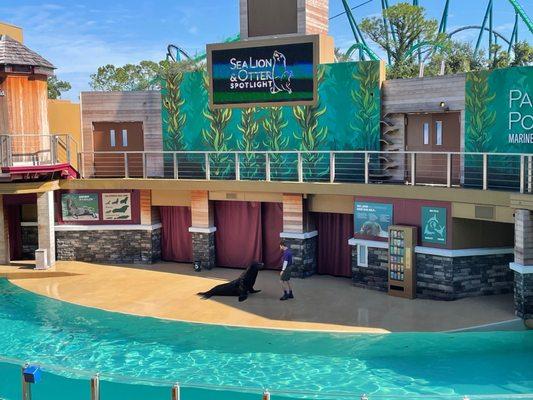 Sea Lion & Otter show